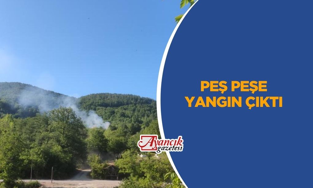 Köylerde Peş Peşe Yangınlar