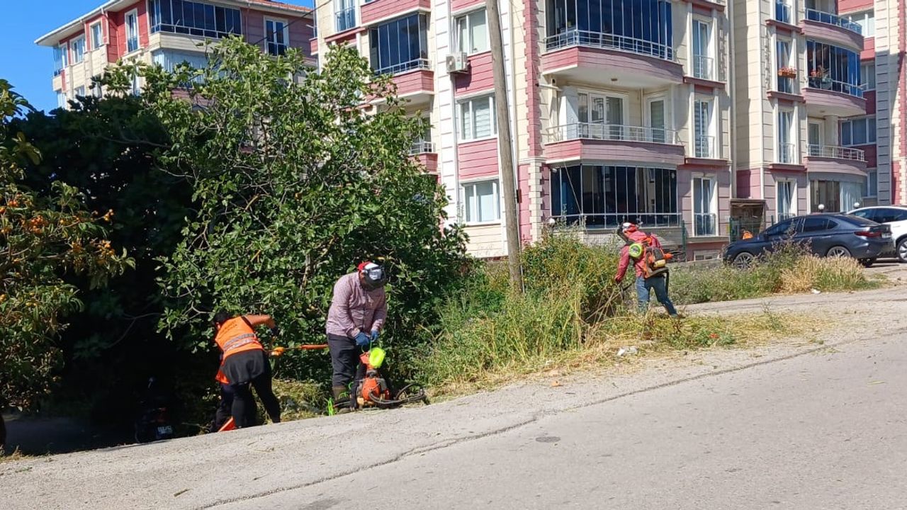 Sinop Belediyesi’nden Gelincik Mahallesi’nde Temizlik ve Bakım Çalışmaları