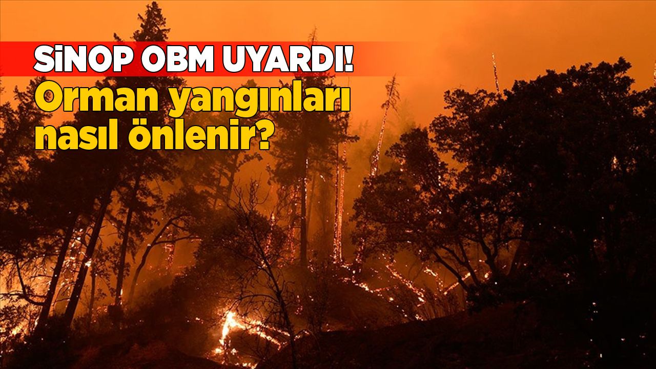 Sinop’ta Orman Yangınlarına Karşı Vatandaşlara Uyarı