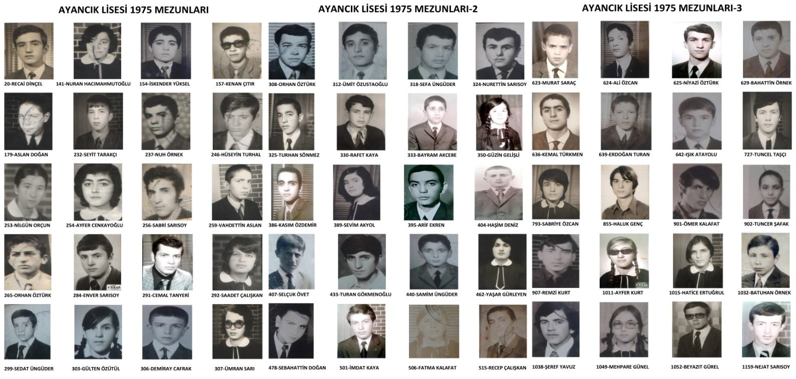 Ayancık Lisesi 1975 Mezunlarının 50. Yıl Buluşması