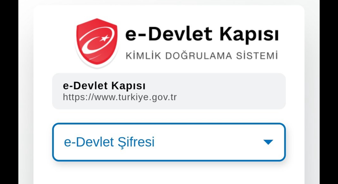 E-Devlet’e Girişte Sorun: “Teknik Hata” Uyarısı Veriliyor