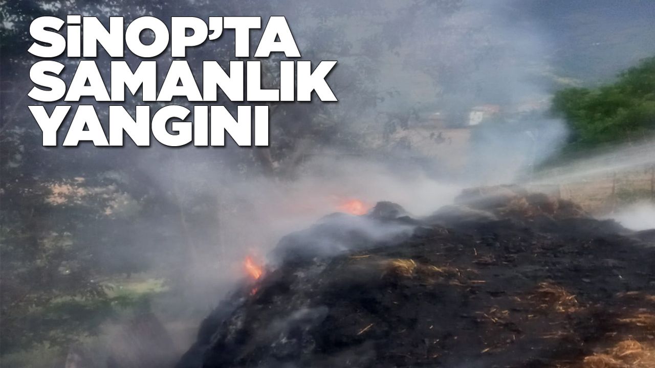 Köyde Çıkan Samanlık Yangınında 300 Balya Kül Oldu
