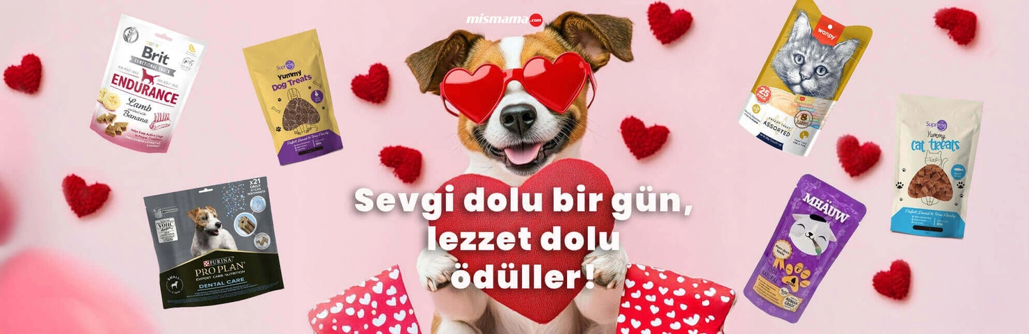 Kuru Mama Alışverişinde Konforlu ve Güvenli Deneyim Pluxee ile Öde, Hızlı Teslimatla Al