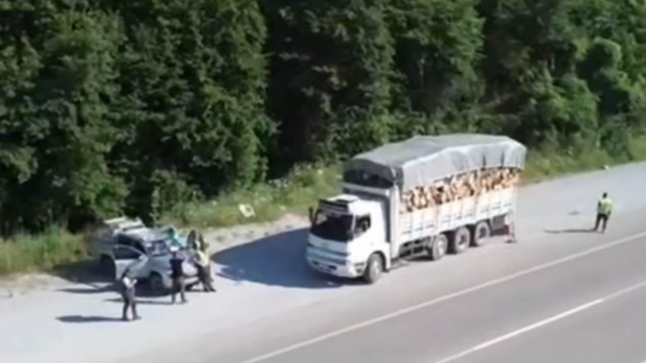 Sinop Ormanlarında Yenilikçi Mobil Denetim Uygulaması Başladı!
