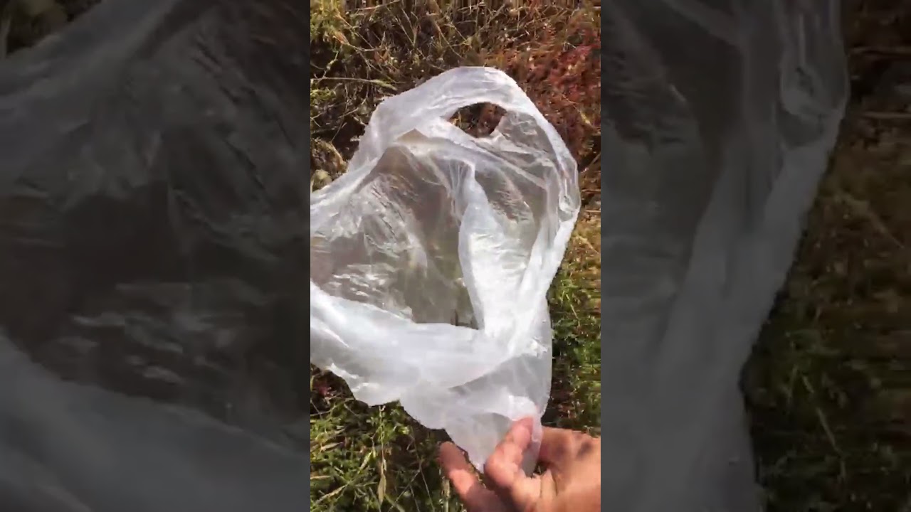 Sinop’ta Bir Evde Çamaşır Makinesinden Çıyan Şaşkınlığı