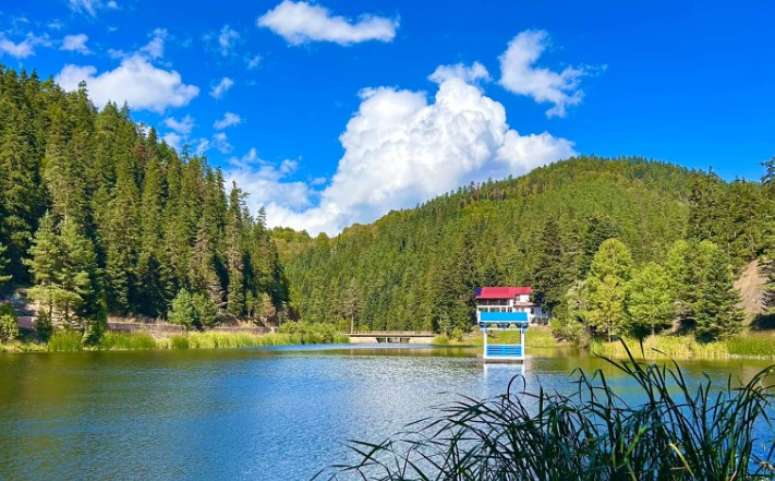 Akgöl Tabiat Parkı’nın Büyüleyici Güzelliği Kameralara Yansıdı