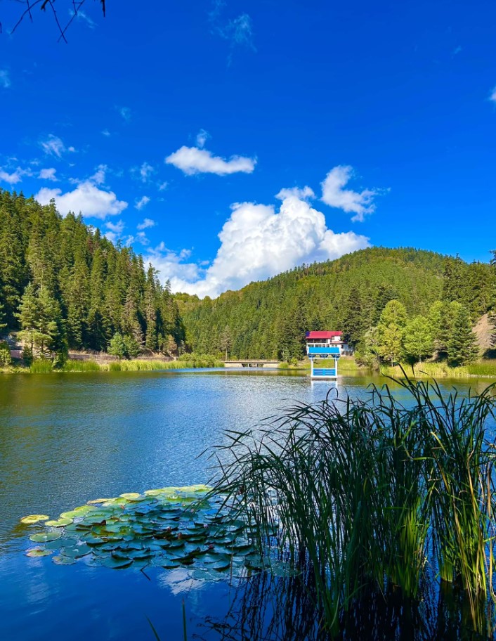 Akgöl Tabiat Parkı’nın Büyüleyici Güzelliği Kameralara Yansıdı