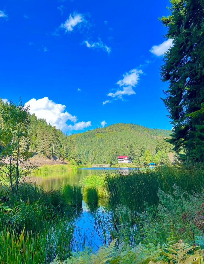 Akgöl Tabiat Parkı’nın Büyüleyici Güzelliği Kameralara Yansıdı