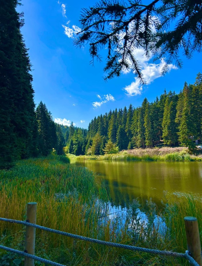 Akgöl Tabiat Parkı’nın Büyüleyici Güzelliği Kameralara Yansıdı