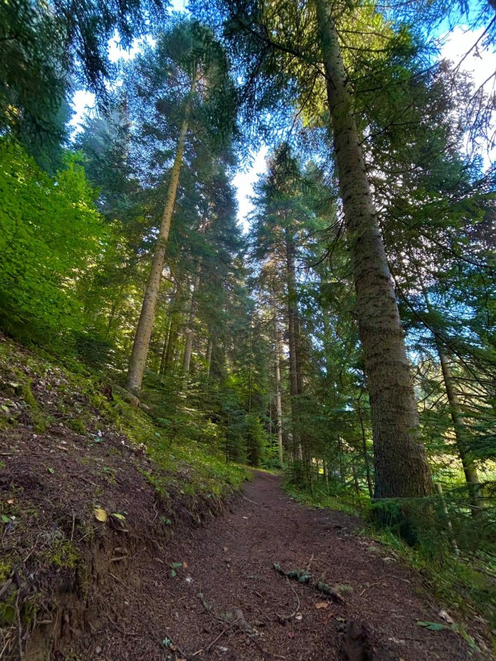 Akgöl Tabiat Parkı’nın Büyüleyici Güzelliği Kameralara Yansıdı