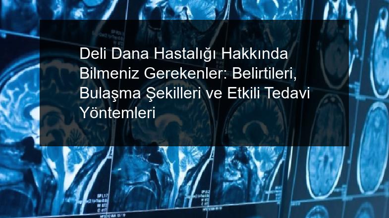 Deli Dana Hastalığı Hakkında Bilmeniz Gerekenler: Belirtileri, Bulaşma Şekilleri ve Etkili Tedavi Yöntemleri