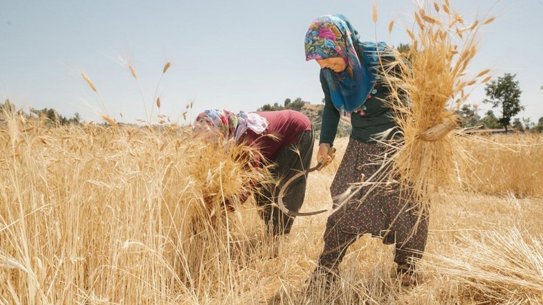 Kadın Çiftçilerin Tarımdaki Yeri ve Önemi