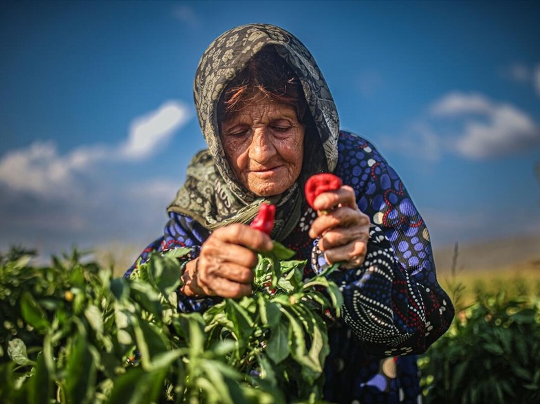 Kadın Çiftçilerin Tarımdaki Yeri ve Önemi