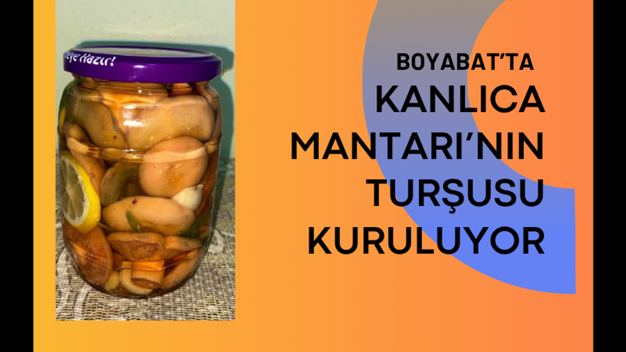 Kanlıca Mantarı’nın Turşusu Kuruluyor