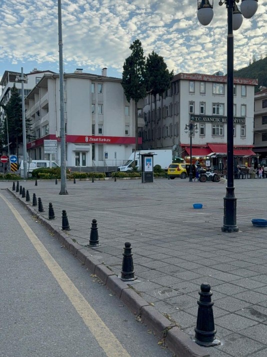 Ayancık Meydanı’na Duba Konuldu