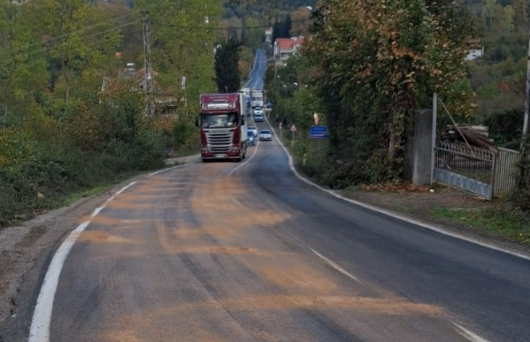 Türkeli-Ayancık-Sinop Yolunda Hamsi Suyu Tehlikesi
