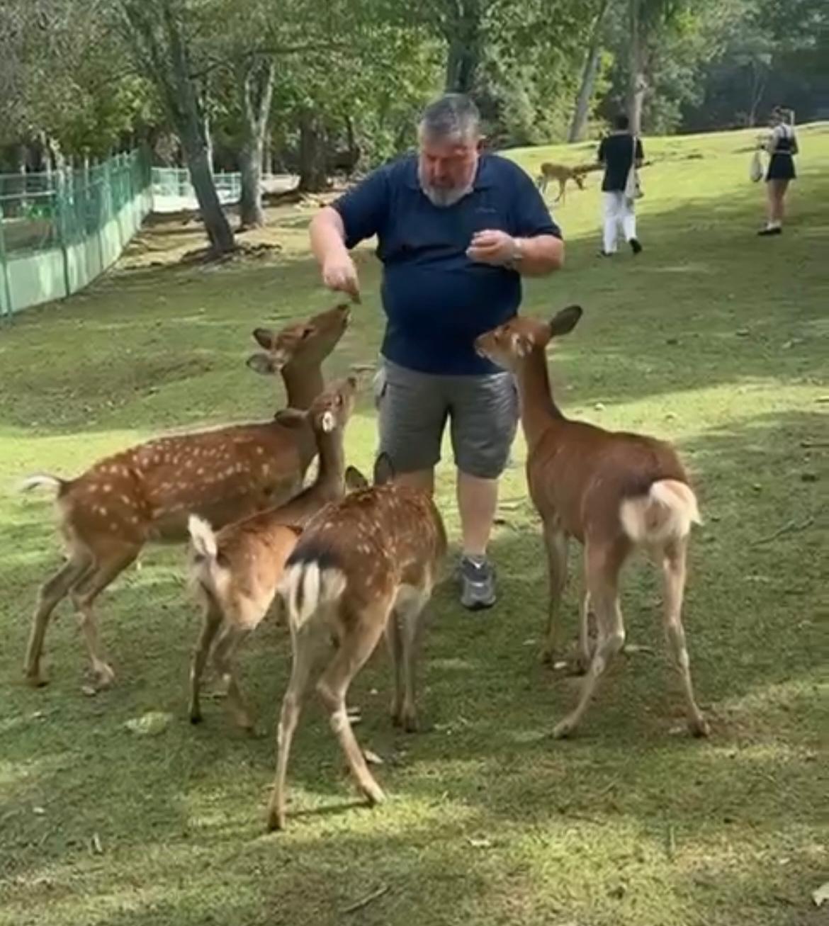 Güneşin Ülkesi Japonya (6. Bölüm)