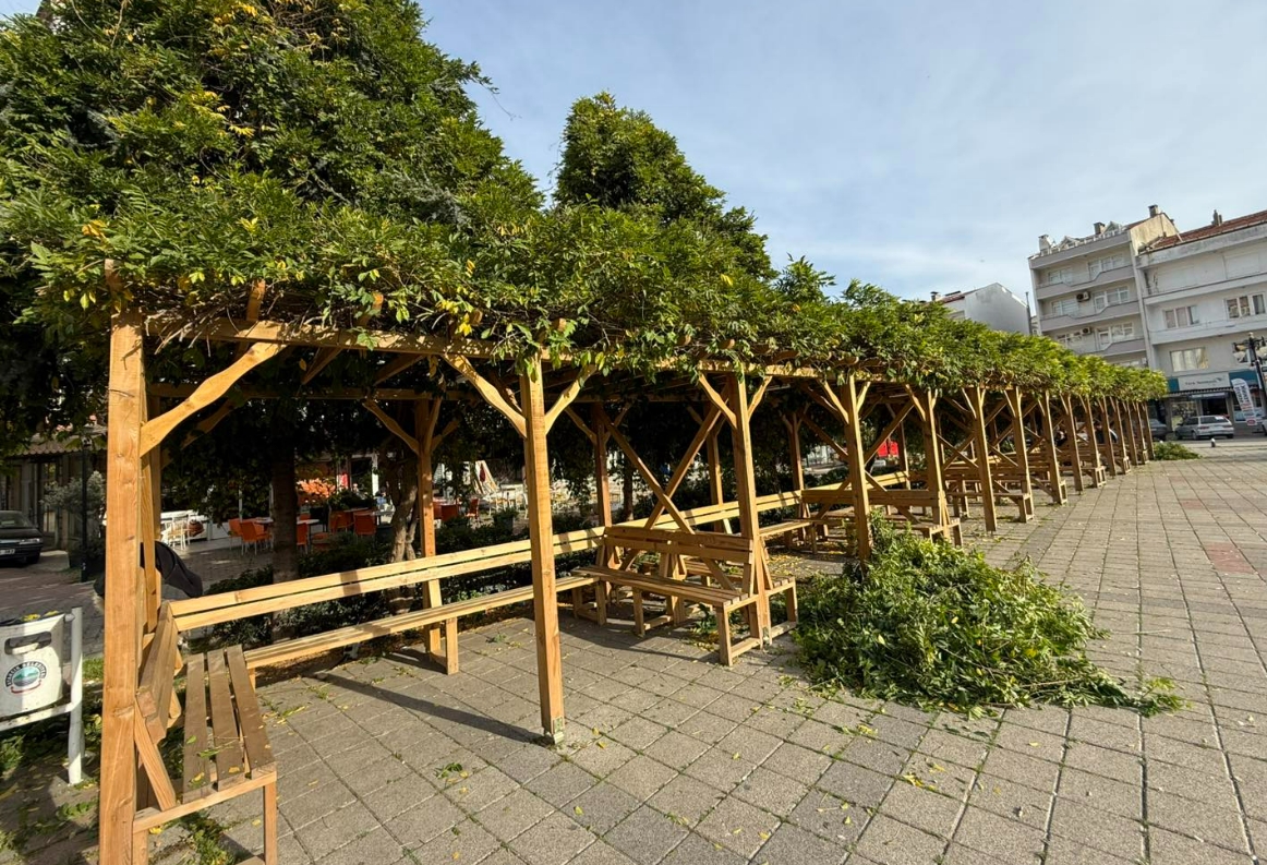 Ayancık’ta Ağaç Budama Çalışmaları