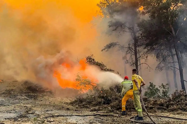 İlan İçin Temel Kriterler