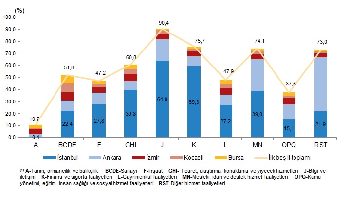 Faaliyet Kollarına Göre İstanbul’un Payı ve Diğer İllerin Durumu