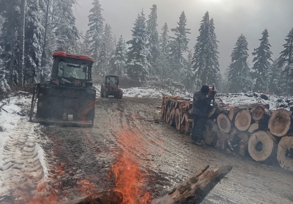 Orman işçileri kar yağışına rağmen çalışmalarını sürdürüyor
