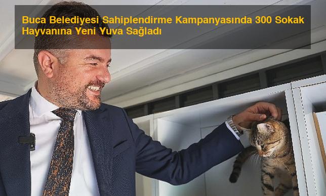 Buca Belediyesi Sahiplendirme Kampanyasında 300 Sokak Hayvanına Yeni Yuva Sağladı