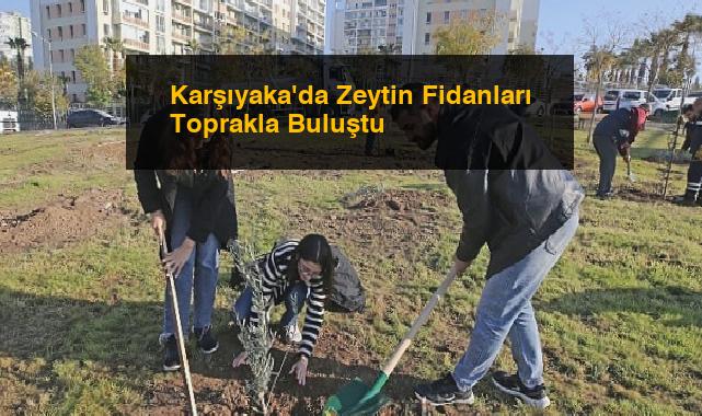 Karşıyaka’da Zeytin Fidanları Toprakla Buluştu
