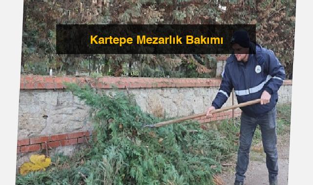 Kartepe Mezarlık Bakımı