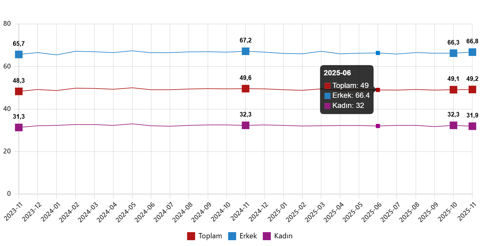 İşsizlik ve İstihdam Rakamları