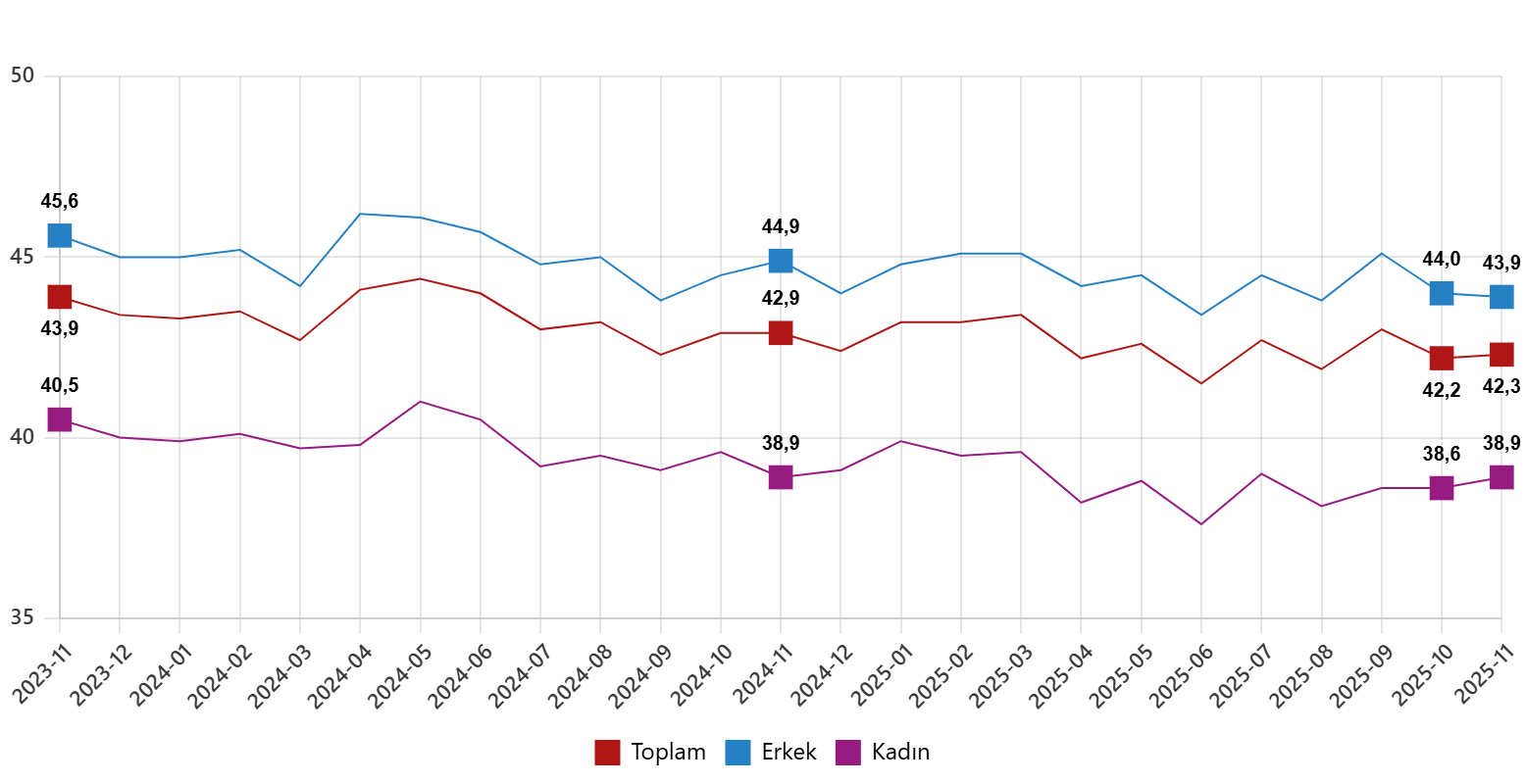 İşgücüne Katılım ve Diğer Göstergeler
