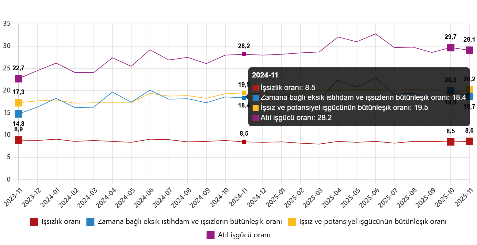 İşgücüne Katılım ve Diğer Göstergeler