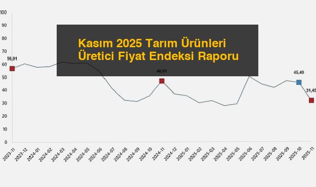 Kasım 2025 Tarım Ürünleri Üretici Fiyat Endeksi Raporu