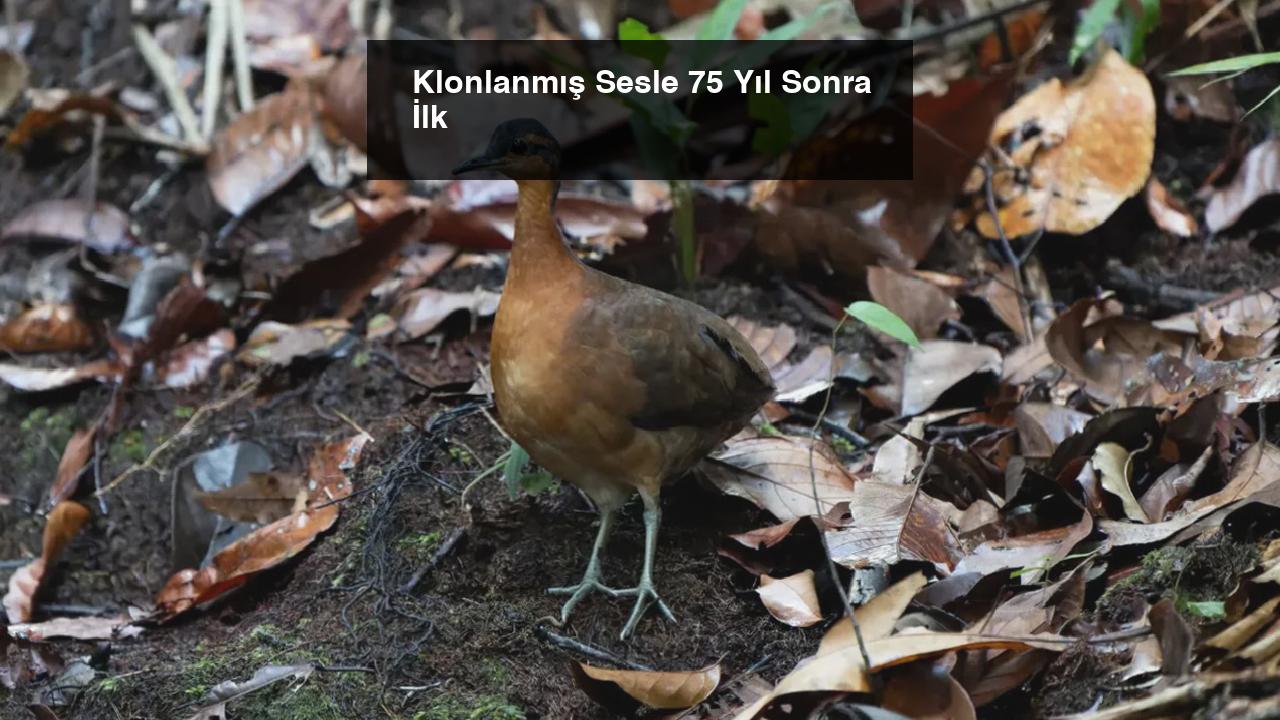 Klonlanmış Sesle 75 Yıl Sonra İlk
