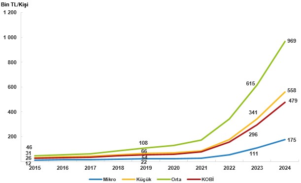 2024 Yılı KOBİ Verilerinde Temel Göstergeler