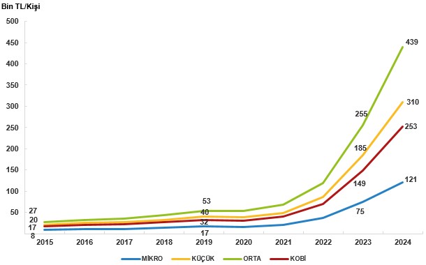 2024 Yılı KOBİ Verilerinde Temel Göstergeler