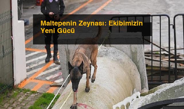 Maltepenin Zeynası: Ekibimizin Yeni Gücü