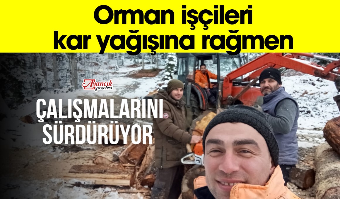 Orman işçileri kar yağışına rağmen çalışmalarını sürdürüyor