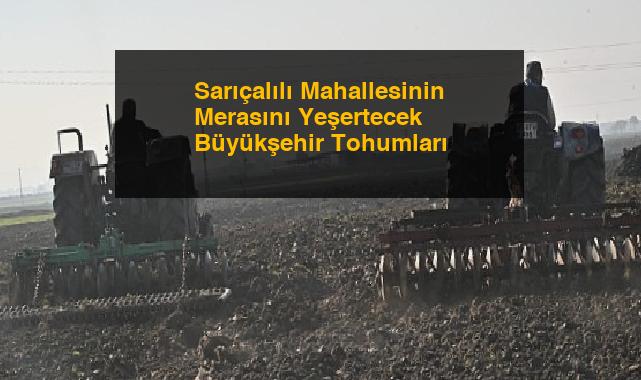 Sarıçalılı Mahallesinin Merasını Yeşertecek Büyükşehir Tohumları