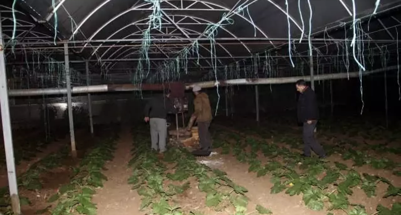 Serik'te Üreticiler Soğuk Havalara Karşı Zirai Don Nöbeti Tutuyor