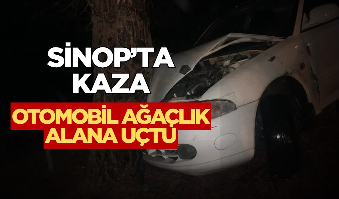 Sinop’ta kontrolden çıkan otomobil ağaçlık alana uçtu