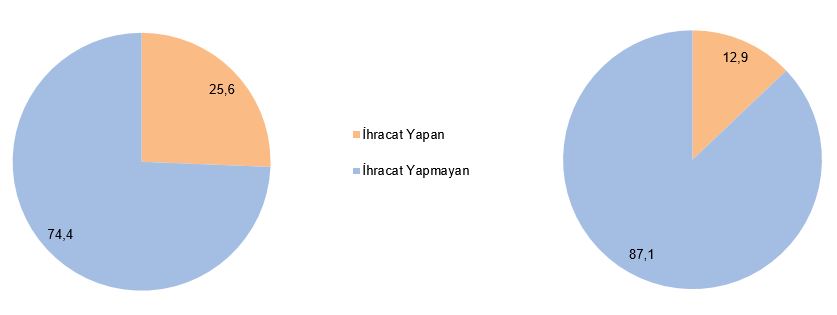 Türkiye'de Teknogirişimler: Profil, Finansman ve Ekosistem Analizi