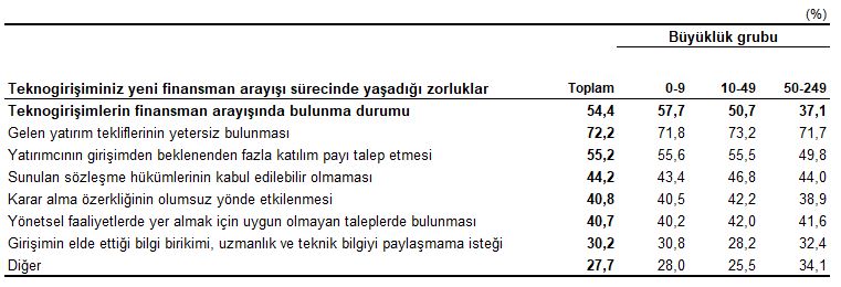 Türkiye'de Teknogirişimler: Profil, Finansman ve Ekosistem Analizi
