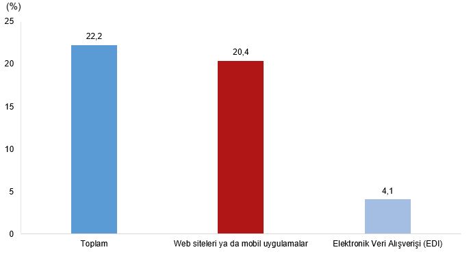Türkiye'de Teknogirişimler: Profil, Finansman ve Ekosistem Analizi