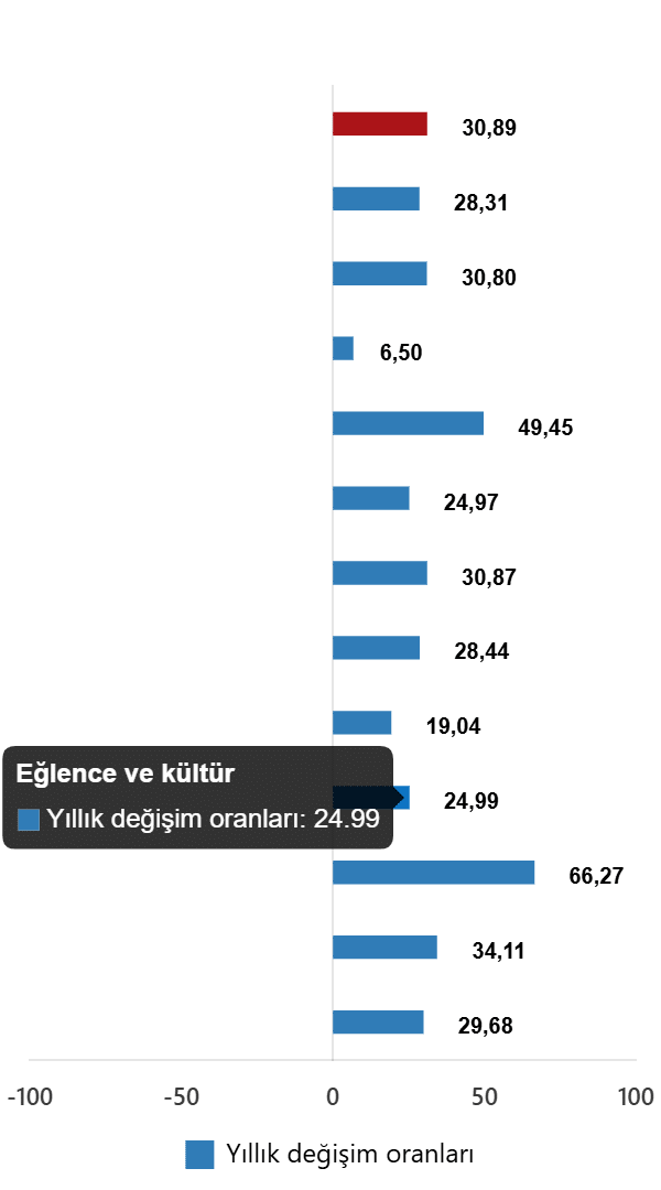 Özel Kapsamlı TÜFE Göstergeleri ve Ekonomik Yansımaları