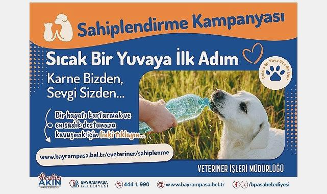 Bayrampaşa’da Sıcak Bir Yuva Bekleyen Sevimli Can Dostlarımız