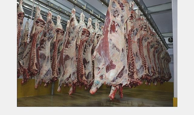 Büyükşehir Mezbahasında 6.029 Başarılı Kesim Gerçekleştirildi