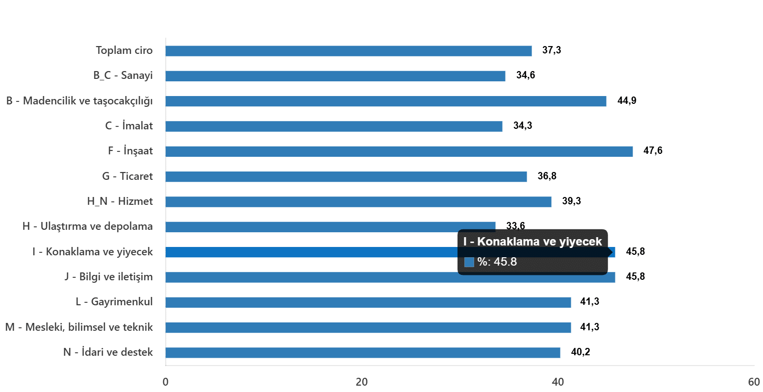 Aylık Ciro Endeksi Yükselmeye Devam Ediyor
