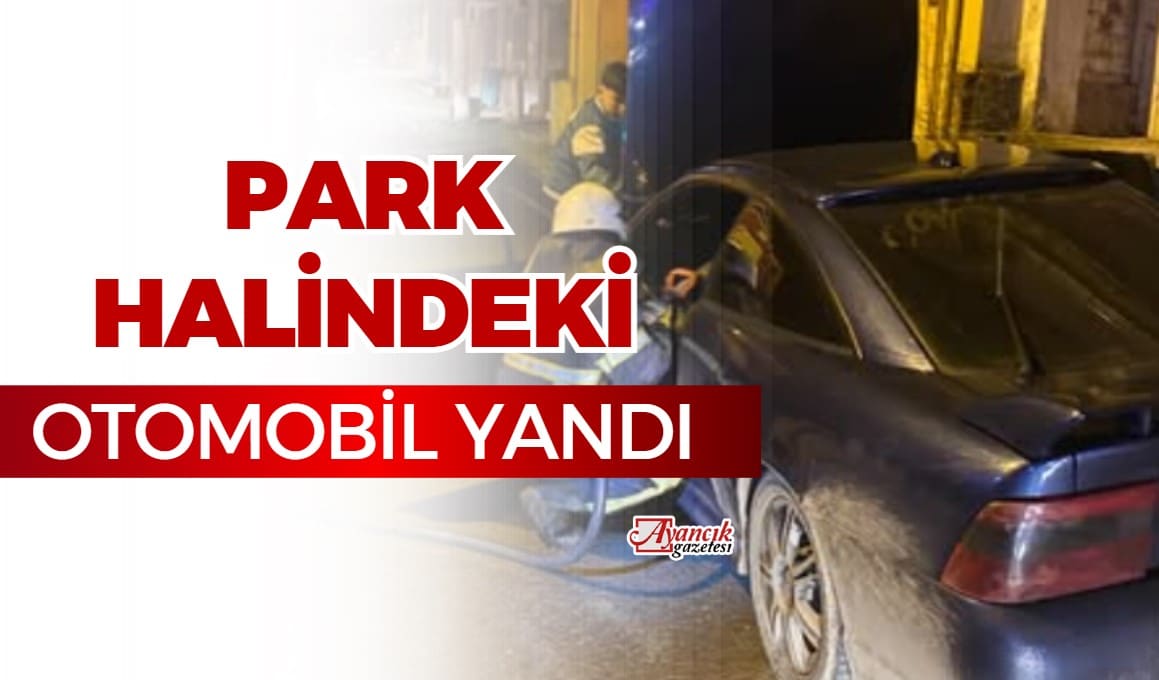 Ayancık’ta Park Halindeki Otomobilde Yangın Çıktı