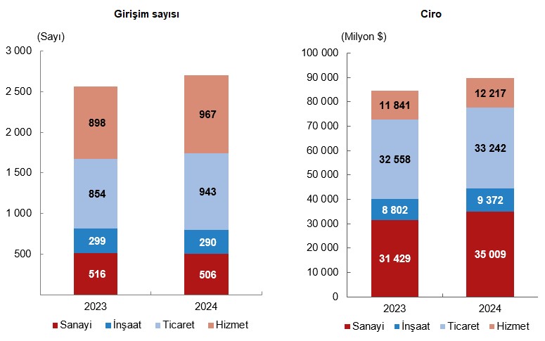 2024 Yurt Dışında Kontrol Edilen Girişim İstatistikleri Analizi