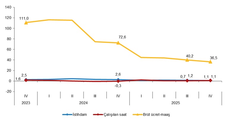 İstihdam, Çalışılan Saat ve Brüt Ücret-Maaş Endekslerindeki Değişim